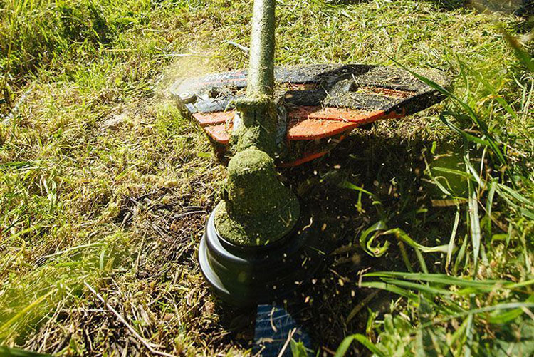 Как выбрать триммер и мотокосу для травы